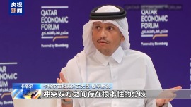 卡塔尔首相：加沙停火谈判尚未取得进展