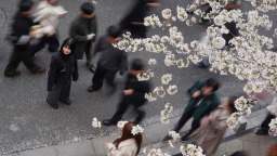 日本涉大麻“瘾君子”数量创新高 七成为年轻人