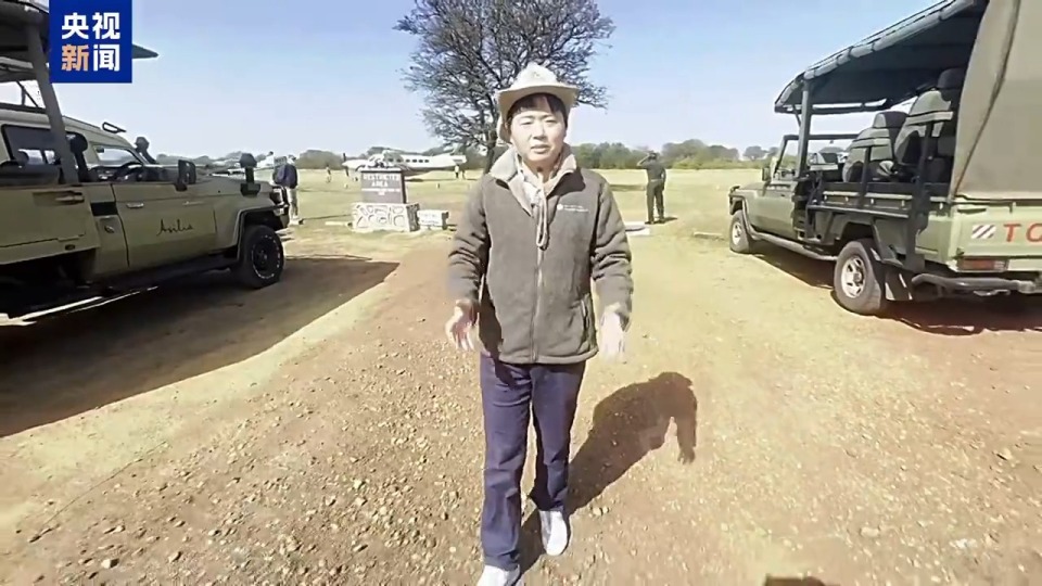 记者Vlog丨非洲动物大迁徙点燃中国游客热情 沉浸感深度游更受欢迎