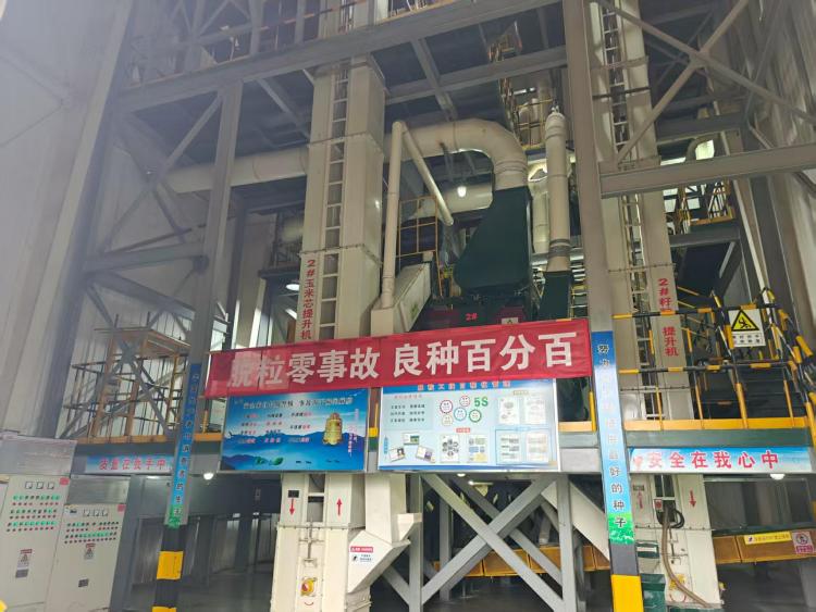 敦煌种业：科创赋能筑牢粮安根基，陇原种企迈向国际舞台​_fororder_9