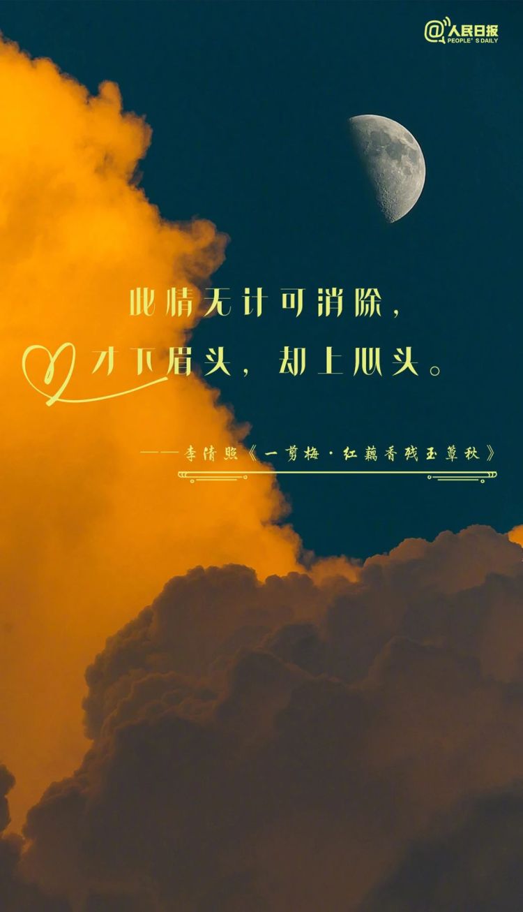 句句不提爱，句句都是爱