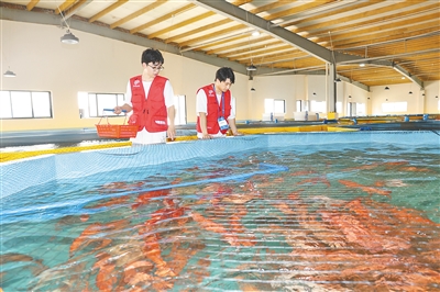 推进“政产学研用”深度融合 海南已建成136家科技小院