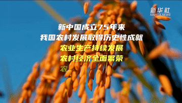 数说新中国75年｜农村发展取得历史成就 乡村振兴开启崭新篇章