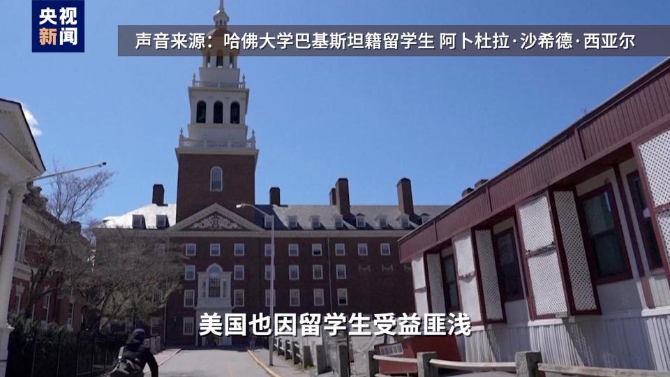 视评线丨2+2=？特朗普给哈佛出的题，白宫考砸了