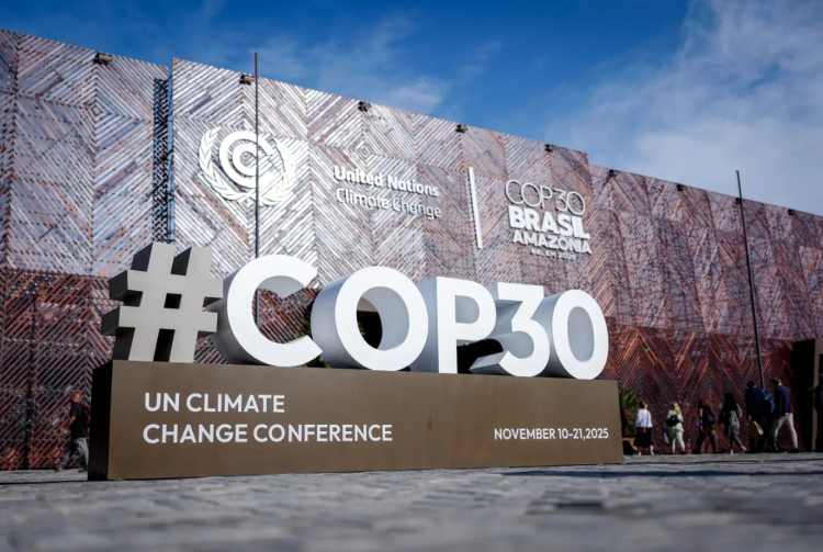 COP30“中国角”活动展示AI助力应对气候变化新成果