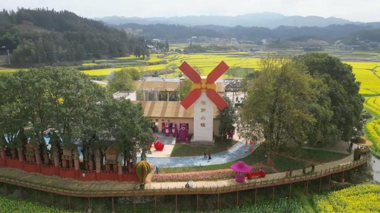 新华视点｜春日盛景赋能“花经济” 文旅融合焕发新活力