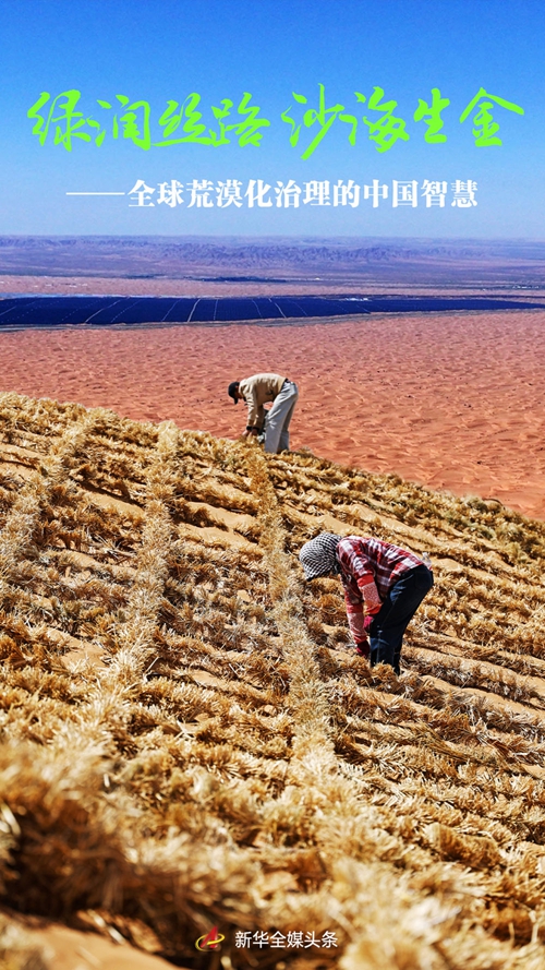 绿润丝路 沙海生金——全球荒漠化治理的中国智慧