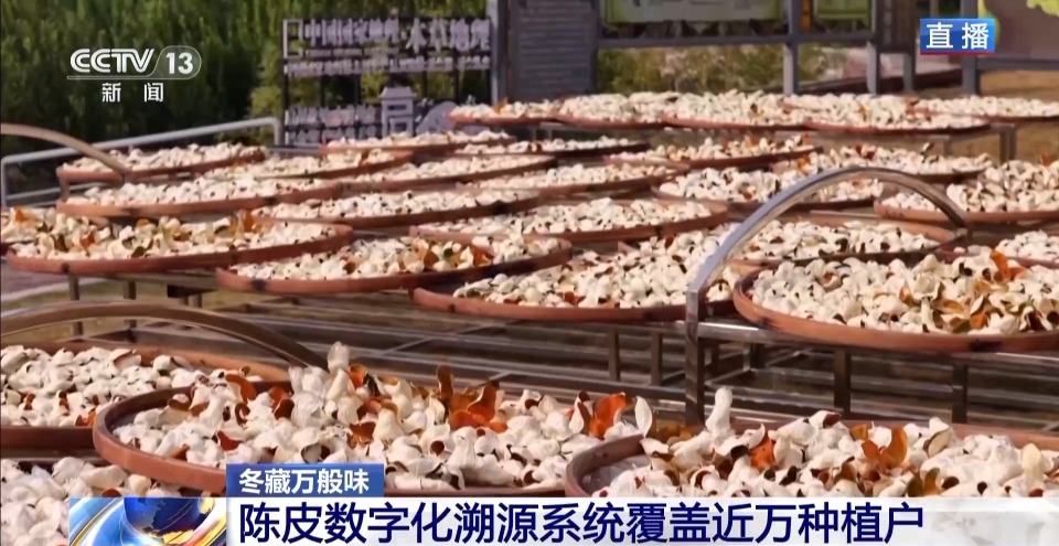 视频丨一粒豆一颗柑 中国味道饮品里藏着“绿色致富密码”