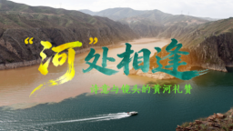 “河”处相逢：诗意镜头下的黄河临夏