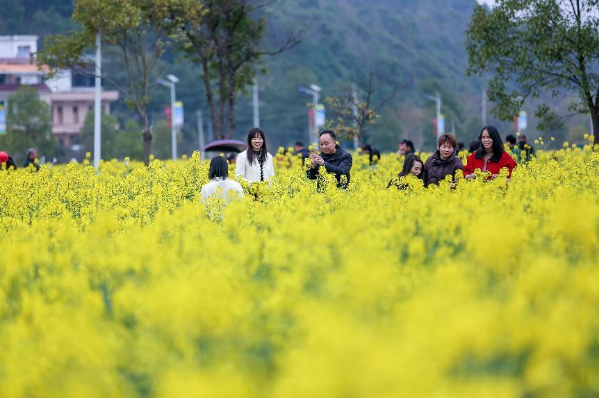 衡阳市2025春季文化旅游推广季之衡阳县第十四届油菜花海畅游活动启幕_fororder_图片4