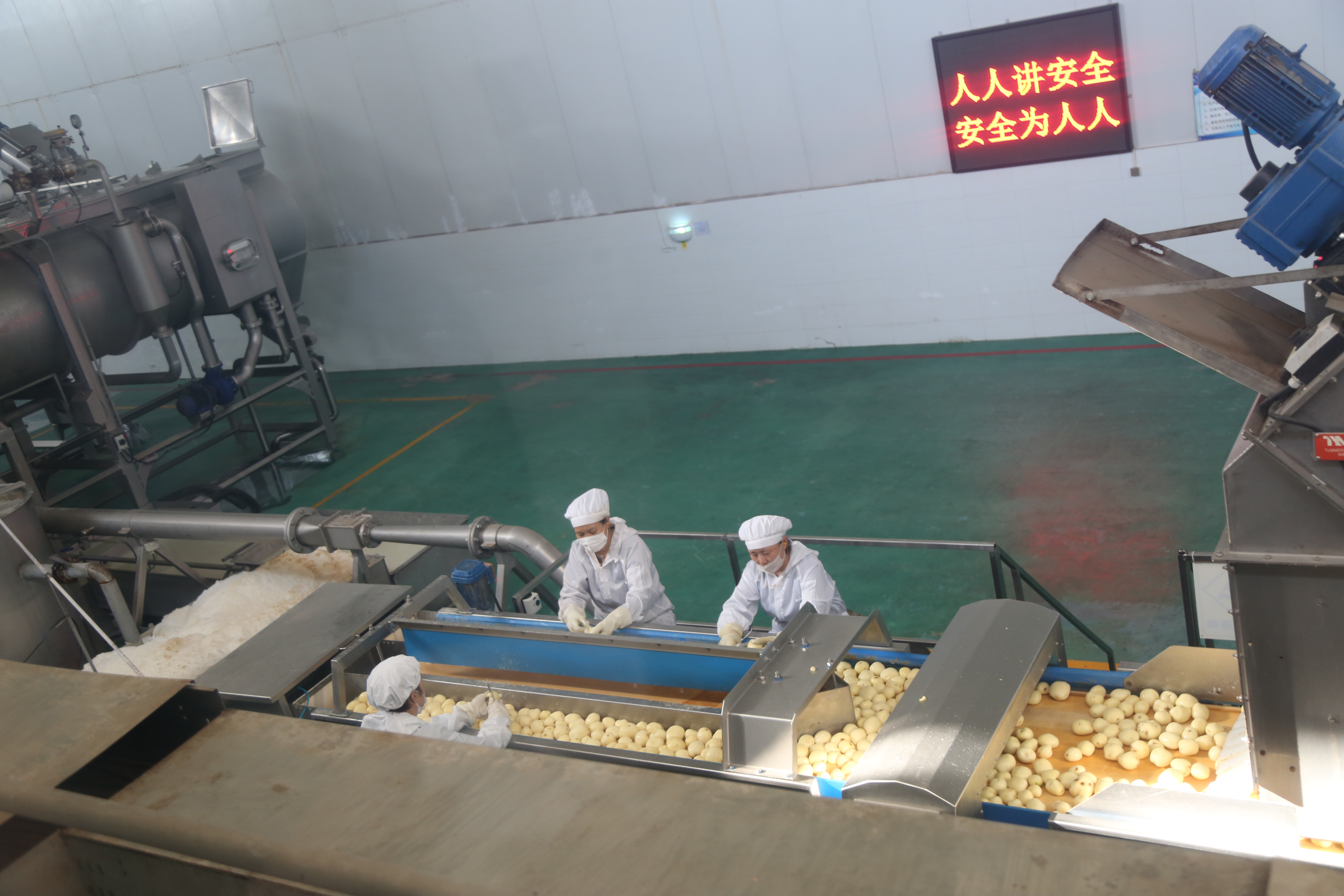 张掖山丹：科技赋能新“薯”光 “小土豆”亦能长成“大产业”