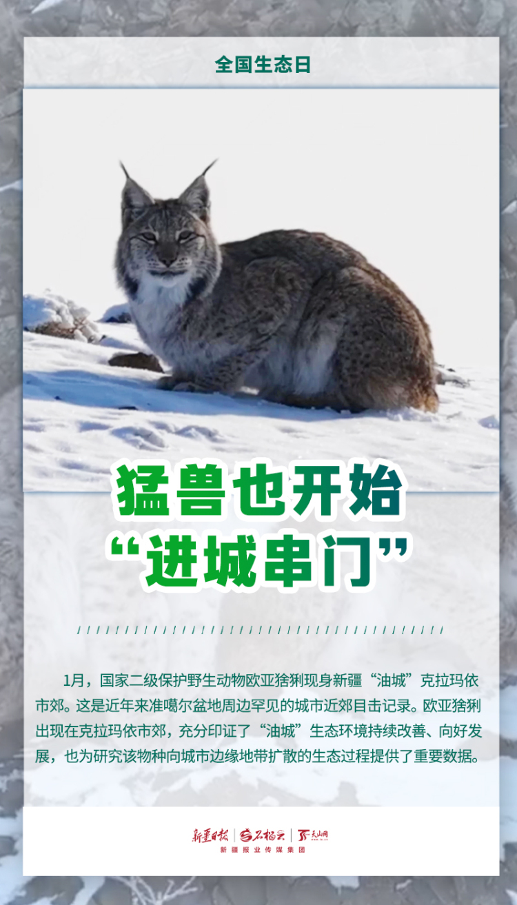 全国生态日丨当鸟兽草木频频“出圈”，看见新疆的生态底气