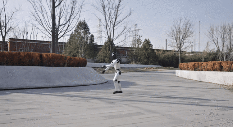 这个春节，人形机器人正在实现“能演亦能干”