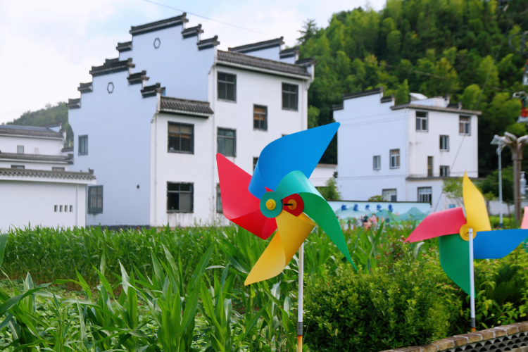 黄山市徽州区虹光村：童趣街绽放活力 绘就乡村振兴新图景_fororder_12