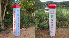 图片默认标题