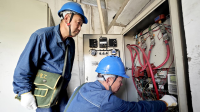 Jiaozuo, Henan: Targeted Power Services Boost the Growth of the Chinese Yam Industry