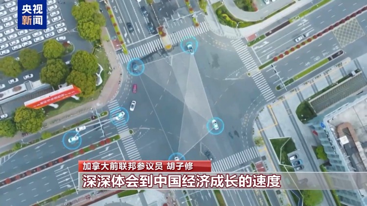 视频丨国际人士：中国发展经验值得其他国家学习借鉴