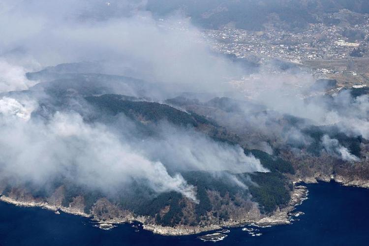 日本岩手县山火过火面积超200公顷