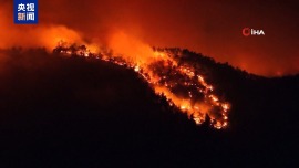 土耳其多地山火蔓延 数千名居民被迫疏散