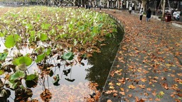 强冷空气即将暴击，降温又快又猛