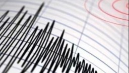 日本八丈岛东部海域发生5.0级地震_fororder_地震