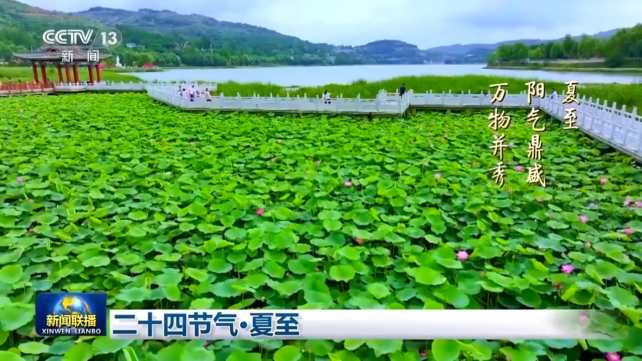 文化中国行丨二十四节气·夏至 阳气鼎盛万物并秀