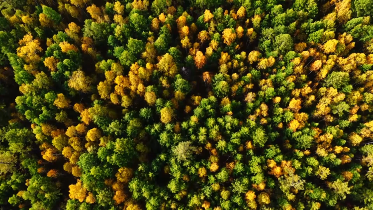 呼伦贝尔积极策划69项秋冬季文旅体主题活动_fororder_呼伦_1