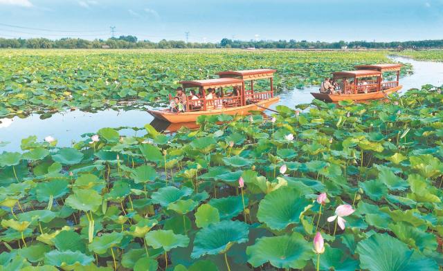 “凉资源”兴乡村_fororder_34e9537e-4cb5-448c-94bd-a17a8a3614aa