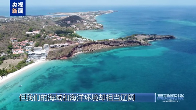 高端访谈丨专访格林纳达总理米切尔