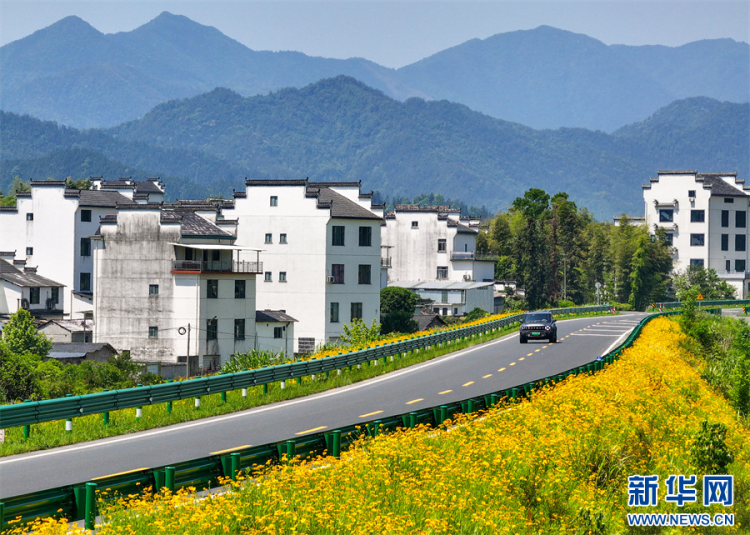 安徽休宁：一路芬芳一路景