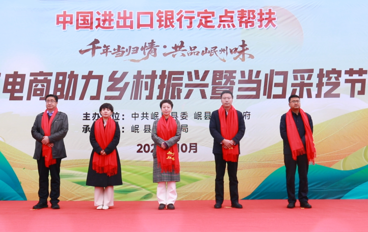 定西岷县电商赋能乡村振兴 当归采挖节书写助农增收新篇章