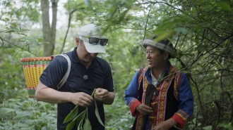 悬浮仙境、超级工程、水中活化石…… 大张家界究竟藏着多少神奇？
