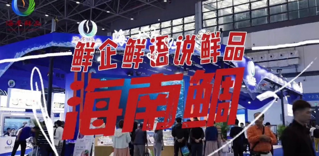 鲜企鲜语说鲜品：海南鲷_fororder_微信图片_20251208105805_12_6