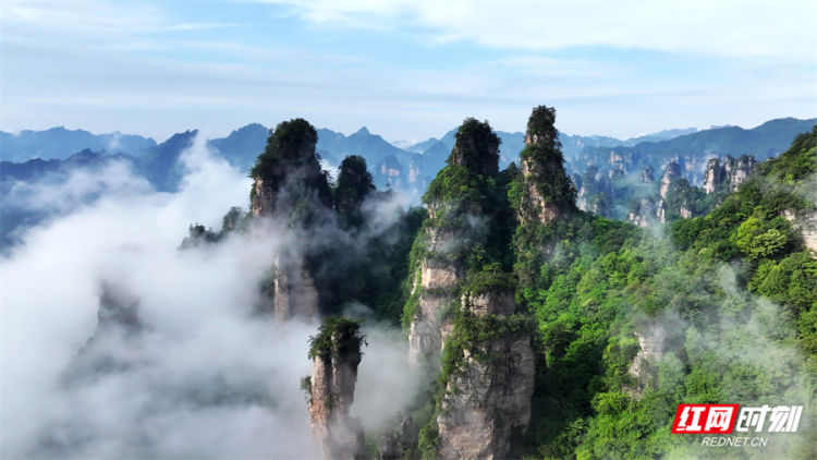 组图丨张家界国家森林公园“立夏”迎来云海仙景_fororder_5