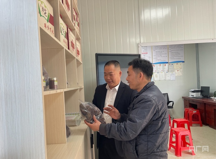 【高质量发展看中国】乡村振兴大道上的那抹“红”——走近清远“兵支书”