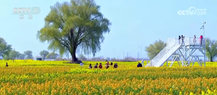 “好颜值”扮靓赏春消费 春日画卷引客来文旅市场暖意浓浓