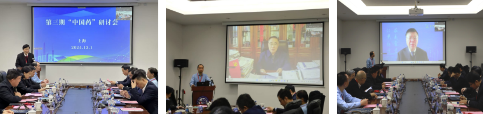 第三期“中国药”研讨会在上海召开
