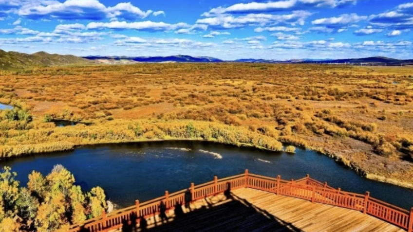 This Year's First Autumn Outing – Let's Head to Hulunbuir!