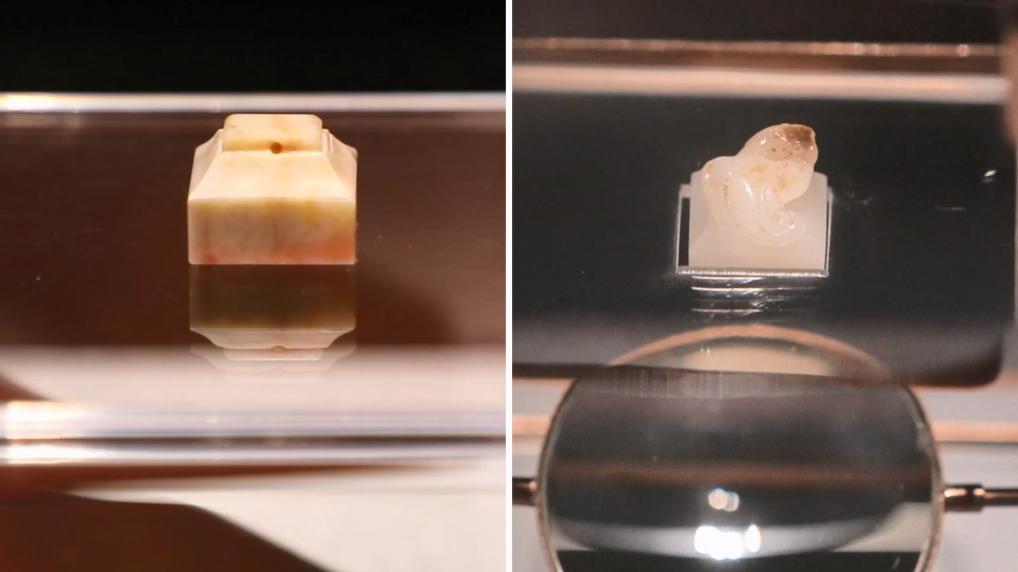 “海昏侯遇见南越王”国庆探馆：从南越国到海昏侯国，管窥西汉盛世之形成