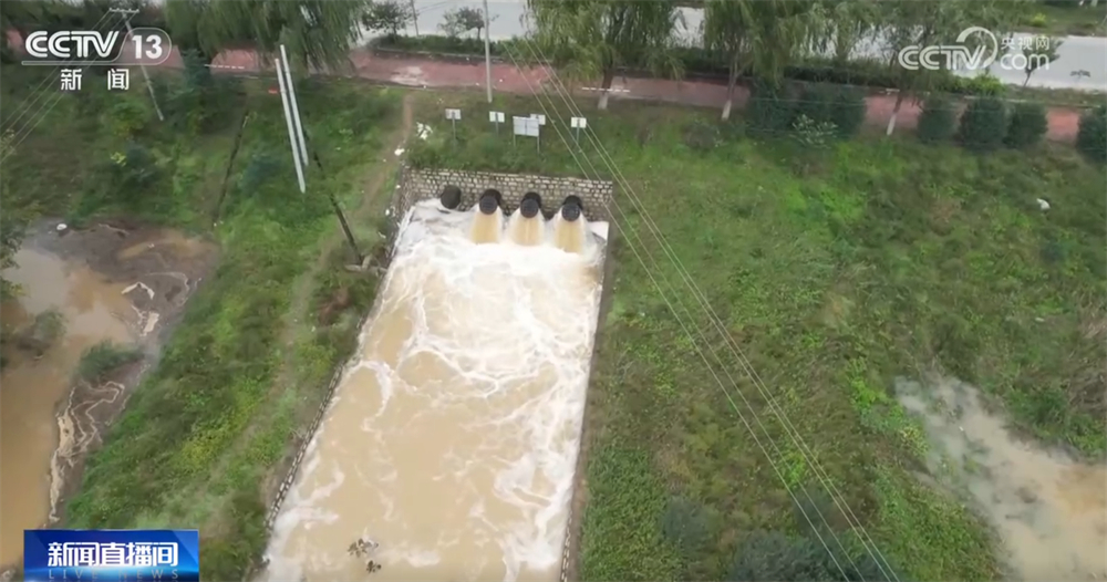 多地“攥指成拳”打响秋收“攻坚战” 排涝、抢收、抢烘有序开展