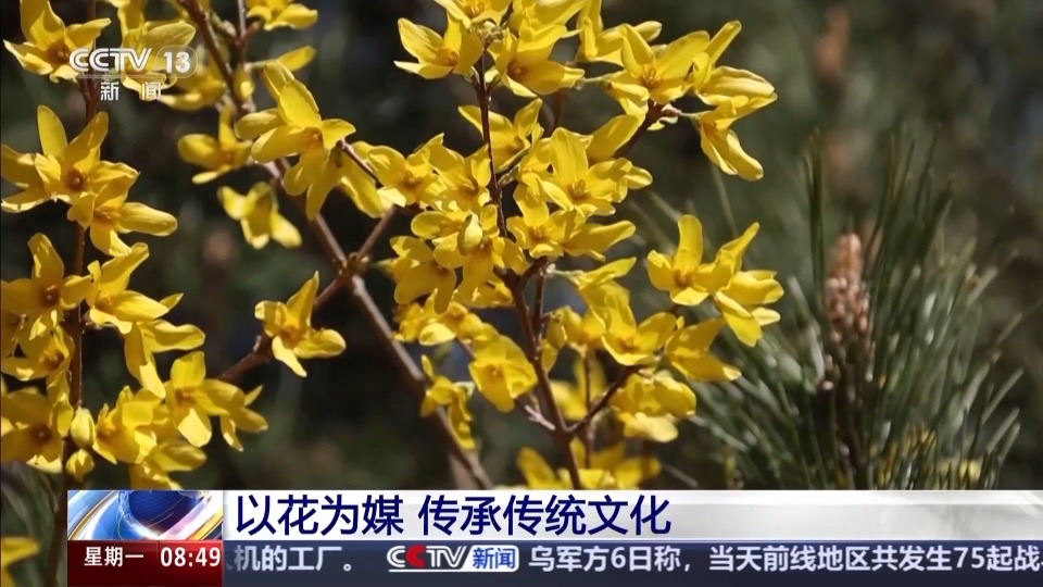 以花为媒 农耕文化玩出了新花样