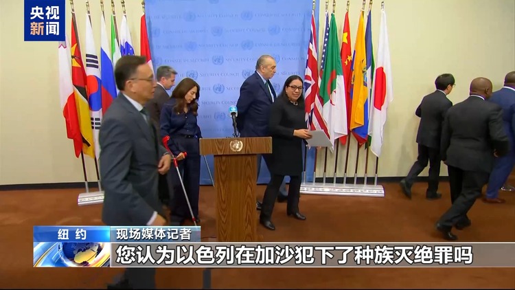 美国否决加沙停火决议、人道车队遭抢劫……联合国本周继续聚焦中东局势