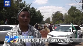 多国爆发示威游行 声援加沙地带巴勒斯坦民众