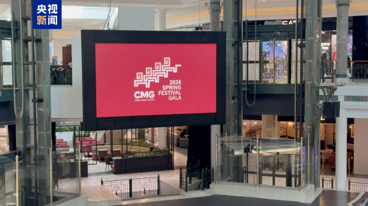 视频丨全球看春晚！“春晚红”点亮开普敦 百屏联动预热丙午马年