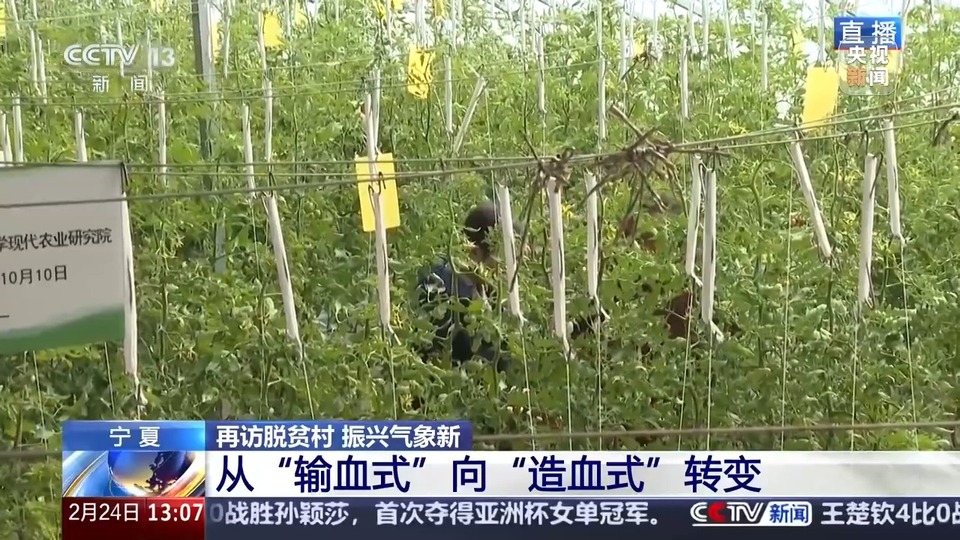 再访脱贫村 振兴气象新丨移民村变了新模样 闽宁镇里的“山海情”