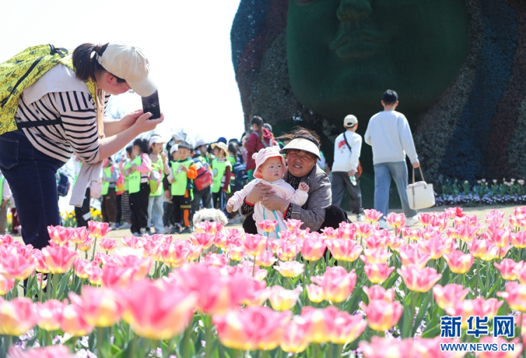 安徽肥西：春花盛开燃热“春日经济”