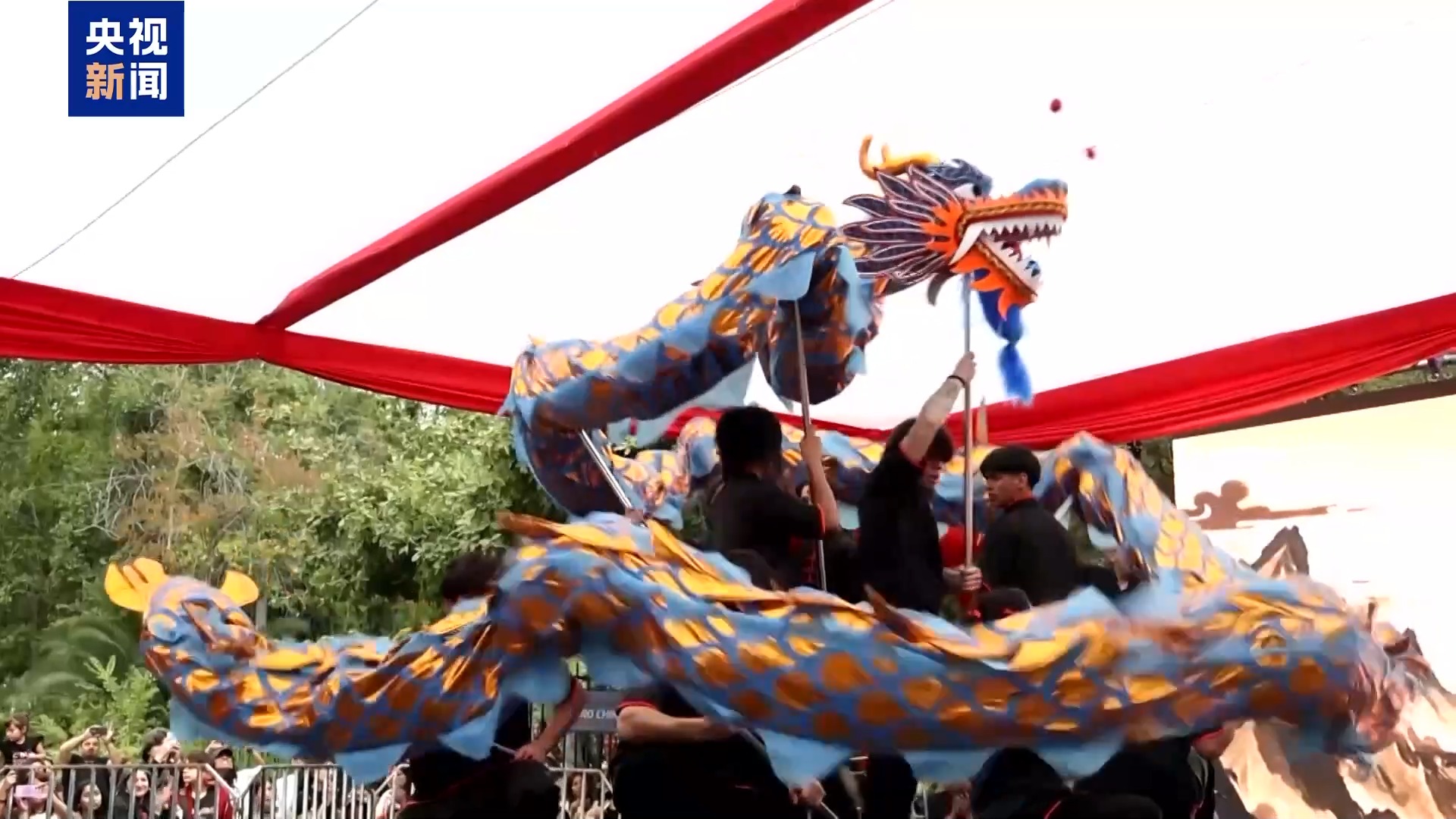 看演出 品民俗 多国举行活动共庆马年新春