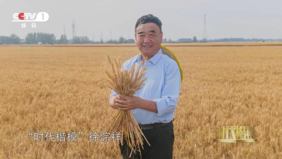 多种粮、种好粮的他被授予“时代楷模”