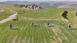 【新春走基层】天水秦州：春回大地麦苗醒 农技服务送田间