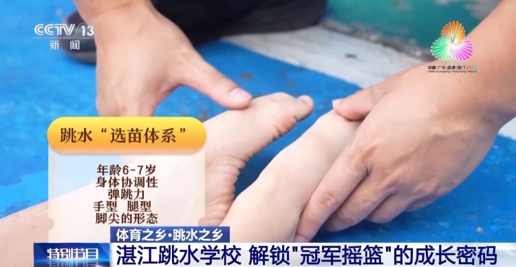 跳水“冠军摇篮”为何是湛江？跟着记者解锁背后密码